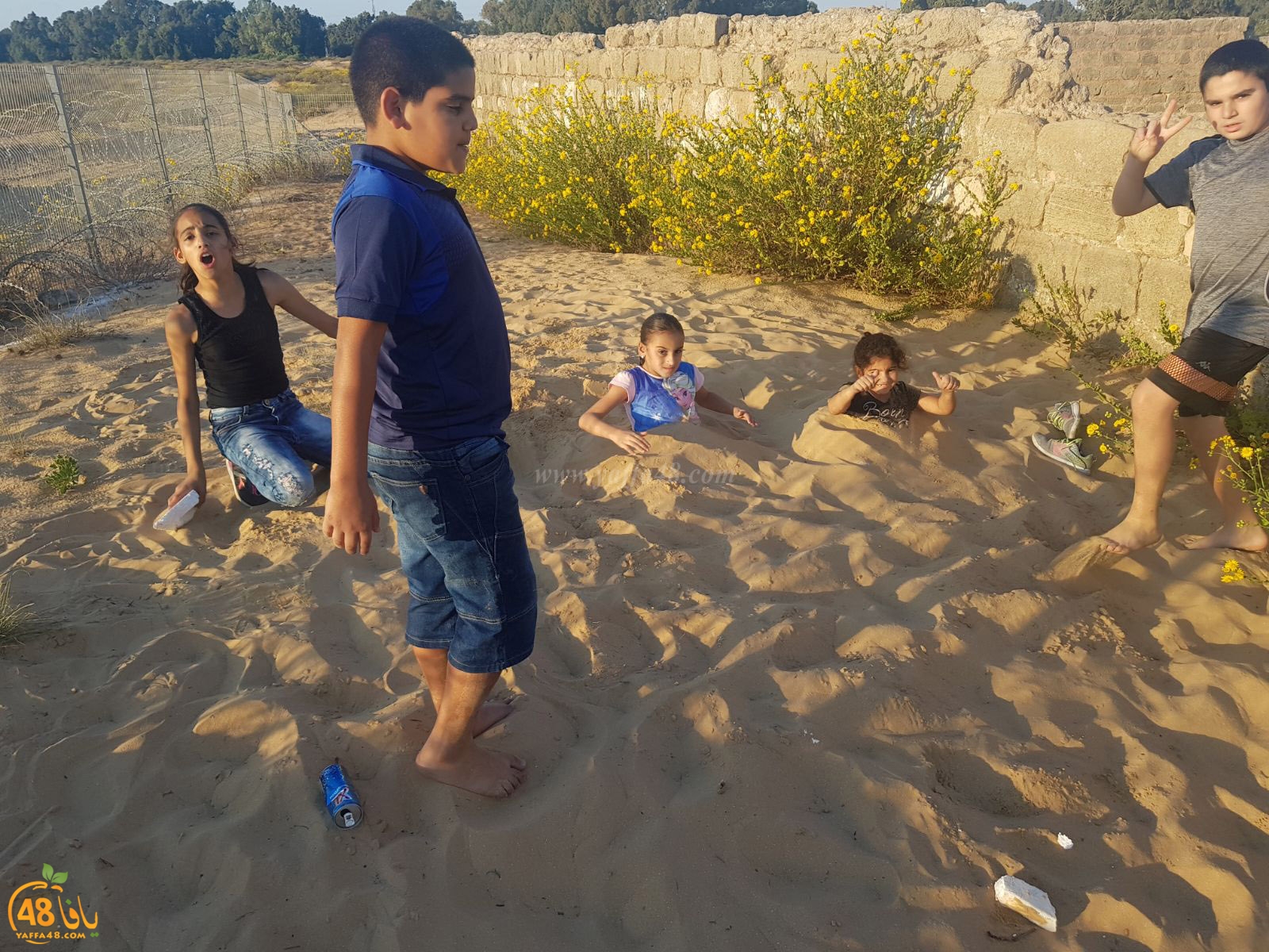 robenerejq (40).jpeg